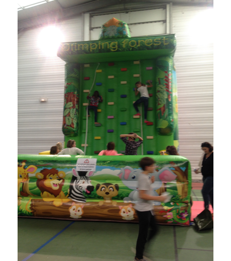 Photo #3 Mur d'escalade gonflable